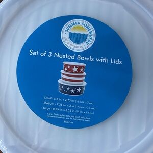 Patriotic Nested Bowls with Lids